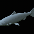 Salmon-statue-32.png Atlantic salmon / salmo salar / losos obecný fish statue detailed texture for 3d printing