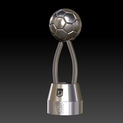 ZBrush-Document.jpg argentinean league cup rosario central