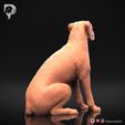 Boxer-Pose-05-Dog-3D-Print-4s.jpeg Chien Boxer Modèle imprimé en 3D Pose 05
