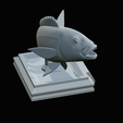 Dentex-trophy-54.png fish Common dentex / dentex dentex trophy statue detailed texture for 3d printing