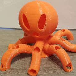 IMG_20211219_095334-2.jpg STL file Shrimp aquarium shelter octopus size・3D print object to download, Echo52
