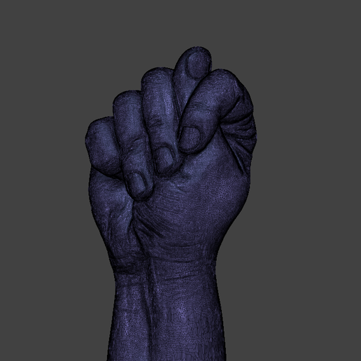 FIG_SIGN_C.png hand fig sign