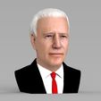 untitled.1139.jpg Joe Biden bust ready for full color 3D printing