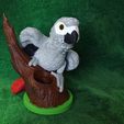IMG_20240731_170031163.jpg African Grey Pencil Holder