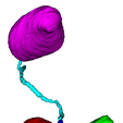 2.png 3D Model of Urinary System - generated from real patient
