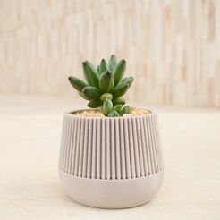 DSC_9739.jpg STL file Minimalist Vase Basic・Model to download and 3D print