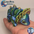 05.png LUNA PETS - Sunflowern - Articulated tiny Dragon, print in place, no supports