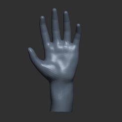 1.jpg low-poly rigging hand model, low-poly rigging hand model