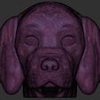 21.jpg Puppy of Pointer dog head for 3D printing