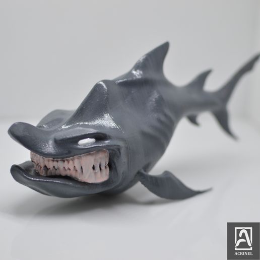 da PAG IB Archivo STL Tiburón comic・Diseño imprimible en 3D para descargar, Acrinel