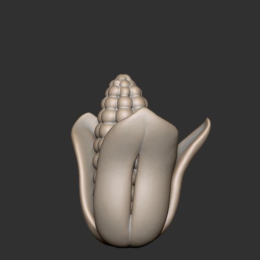 🌽 Corn・ STL File for 3D printing・Cults