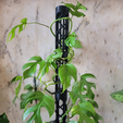 MossPole-WithPlant.png Moss pole kit