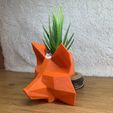 IMG_0387.jpeg METAMASK FOX PLANTER POT