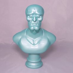 IMG_4193.JPG STL file Handsome Squidward Bust・Design to download and 3D print, 3DPrintGeneral