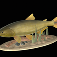 Golden-dorado-statue-1-2.png fish golden dorado / Salminus brasiliensis statue underwater detailed texture for 3d printing