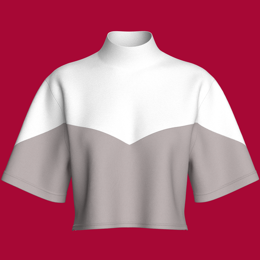 Girls High Neck Color Block Crop T-shirt  | Marvelous / Clo3d / obj / fbx