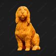 1040-Basset_Griffon_Vendeen_Petit_Pose_05.jpg Basset Griffon Vendeen Petit Dog 3D Print Model Pose 05