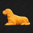 1074-Basset_Griffon_Vendeen_Petit_Pose_09.jpg Basset Griffon Vendeen Petit Dog 3D Print Model Pose 09