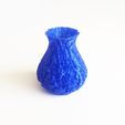 IMG_2032.JPG Sponge Vase # 1