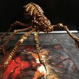 sp5.jpg STL file Hell Arachnid・Model to download and 3D print, tes3D