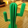 2.jpg Cactus decoration - Support Bague