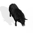 8U.jpg DOWNLOAD Buffalo 3D MODEL - 3D MODEL ANIMATED - FOR 3DS MAX - BLENDER 3 FILE - UNITY - UNREAL - CINEMA 4D - FBX - OBJ - MAYA
