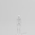 front.PNG Skeleton of the human body