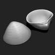 02_shell-7-3d-print-aquarium-3d-model-obj-fbx-stl.jpg Shell 7 - 3D Print - Aquarium - Sea Life