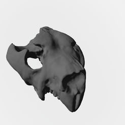 LEÃO-MARSUPIAL.png MARSUPIALLÖWE