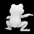 Frog.5.jpg Frog 3D Print Model