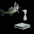 zander-trophy-32.png zander / pikeperch / Sander lucioperca fish in motion trophy statue detailed texture for 3d printing