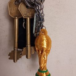 WhatsApp-Image-2023-01-03-at-1.01.20-PM.jpeg world cup key ring with reinforced ring