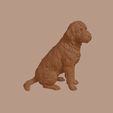 Bergamasco_Sheepdog_0003.jpg Bergamasco Sheepdog in Sitting Pose