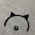 IMG_5709.jpg Cat Noir Miraculous Lady Bug Ears and Ring