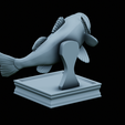 Bass-trophy-2.png Largemouth Bass / Micropterus salmoides fish in motion trophy statue detailed texture for 3d printing