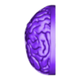 brain.stl Modèle de torse d'anatomie humaine