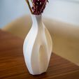 _DSC8652-2.jpg Organic Sculptural Dry Flower Vase