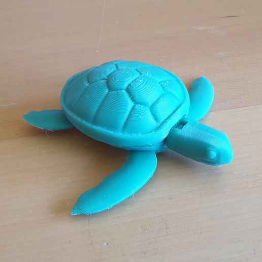 3D printer Foldable Sea Turtle • made with Ender 3 Pro・Cults