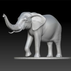 ELLLLF3.jpg Elephant