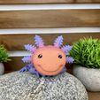 Bezaubernder Axolotl mit Gelenk, bedruckter Körper, einrastbarer Kopf, niedlicher Flexi