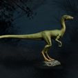 3.jpg Compsognathus | Jurassic Park