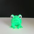 20230212_110244.jpg Little Frog (confused or angry frog)