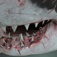 02y.jpg SHARK, DOWNLOAD Shark 3D modeL - Animated for Blender-fbx-unity-maya-unreal-c4d-3ds max - 3D printing SHARK SHARK FISH - TERROR  - PREDATOR - PREY - POKÉMON - DINOSAUR - RAPTOR