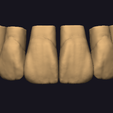 Screenshot-2023-11-02-163442.png teeth libraries