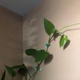 signal-2022-02-13-160947_002.jpeg STL file Leaf-Shaped Vine Clip・3D print design to download