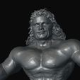 20220226_142106.jpg WWF-WWE Costum Rick Rude