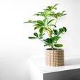 misprint-9876.jpg The Tulam Planter Pot with Drainage | Tray & Stand Included | Modern and Unique Home Decor for Plants and Succulents  | STL File