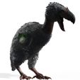 43.jpg BIRD OF PREY TERROR HORROR DEMON DEVIL RAPTOR DINOSAUR WINGS FLYING PREHISTORIC CHARIZARD TERROR BIRD ANIMATED - BLENDER - 3DS MAX - CINEMA 4D - FBX - MAYA - UNITY - UNRE / EVIL / MONSTER Dinosaur