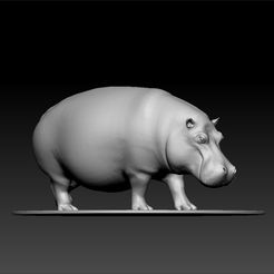 ZBfgfcument.jpg Hippo