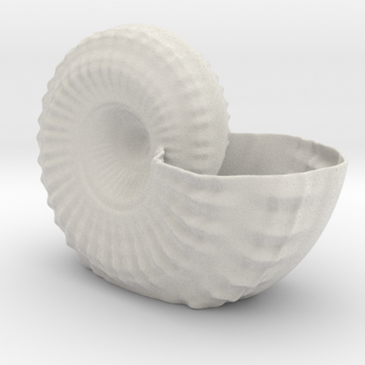 Shell Planter - 3D model önizlemesi